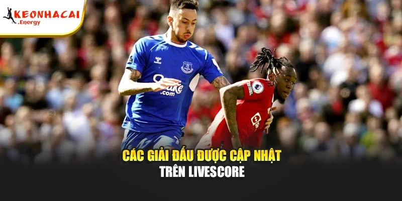 Các giải đấu được cập nhật trên Livescore