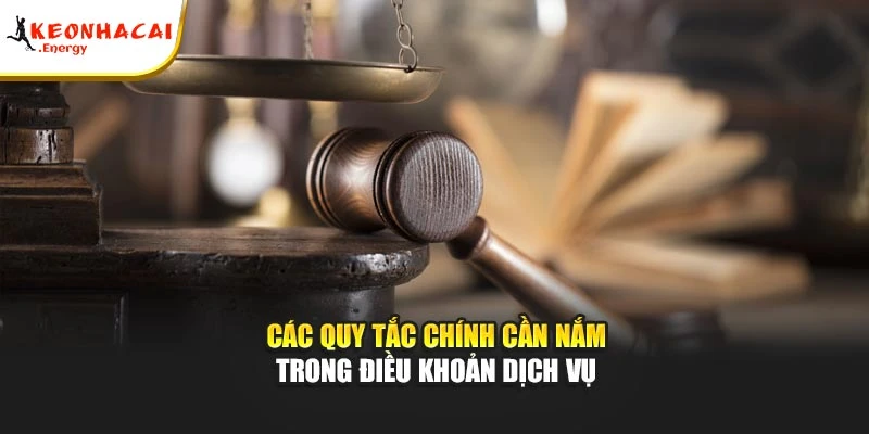 Các quy tắc chính cần nắm trong điều khoản dịch vụ