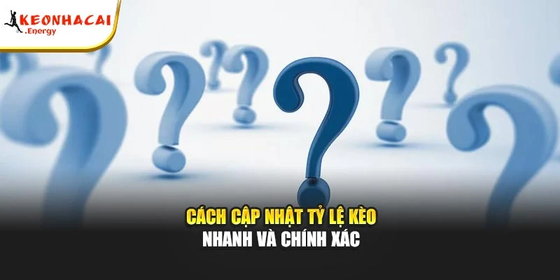 Cách cập nhật tỷ lệ kèo nhanh và chính xác