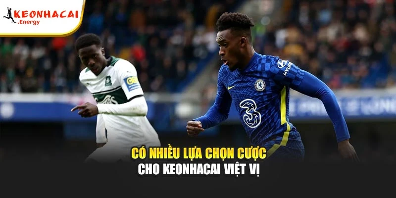 Có nhiều lựa chọn cược cho keonhacai việt vị