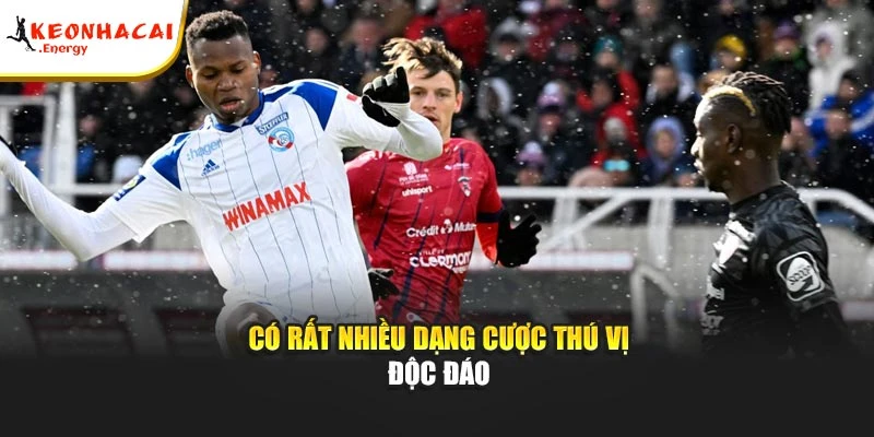 Có rất nhiều dạng cược thú vị độc đáo