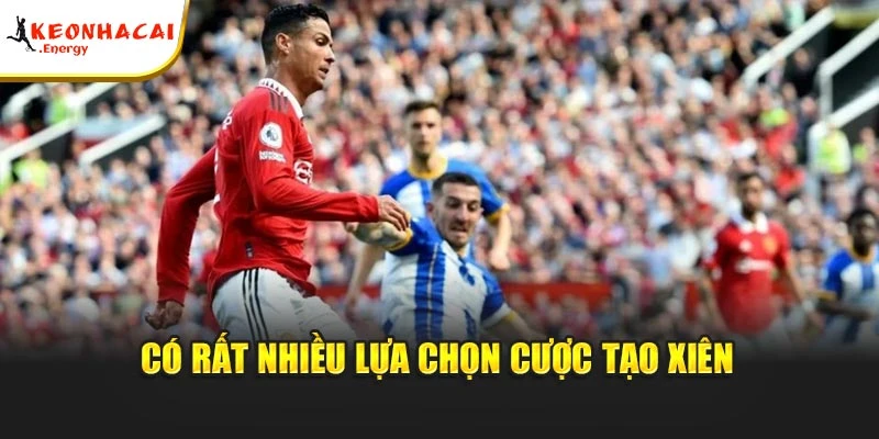 Có rất nhiều lựa chọn cược tạo xiên