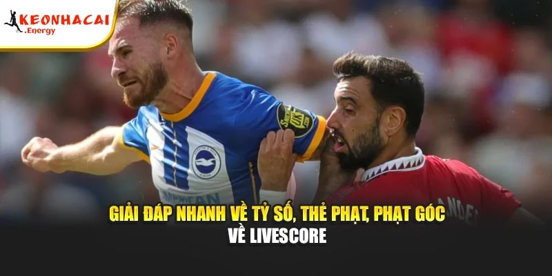 Giải đáp nhanh về tỷ số, thẻ phạt, phạt góc về Livescore