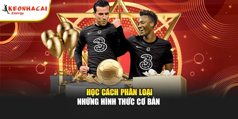 Học cách phân loại những hình thức cơ bản