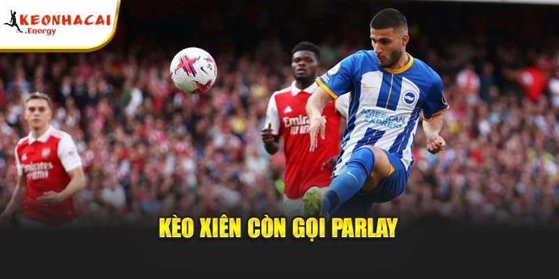 Kèo xiên còn gọi parlay