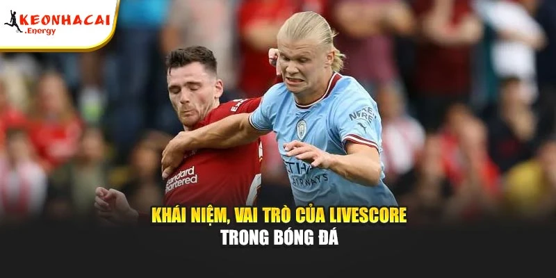 Khái niệm, vai trò của Livescore trong bóng đá