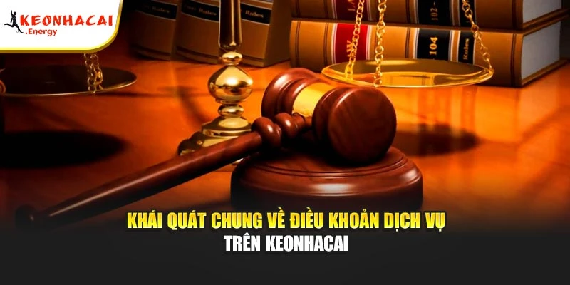 Khái quát chung về điều khoản dịch vụ trên Keonhacai