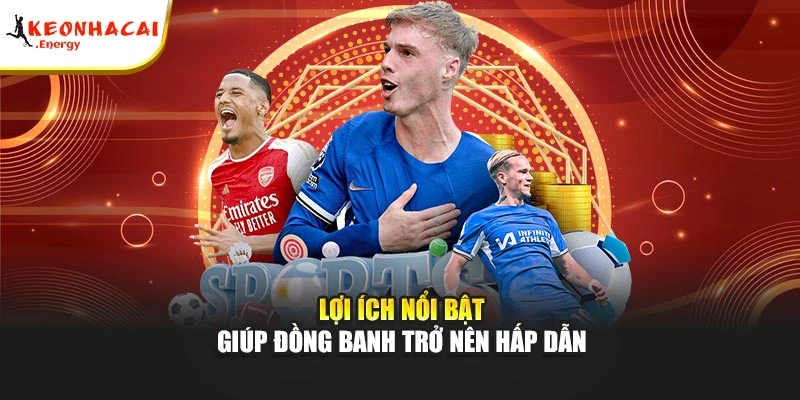Lợi ích nổi bật giúp đồng banh trở nên hấp dẫn