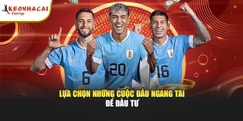 Lựa chọn những cuộc đấu ngang tài để đầu tư